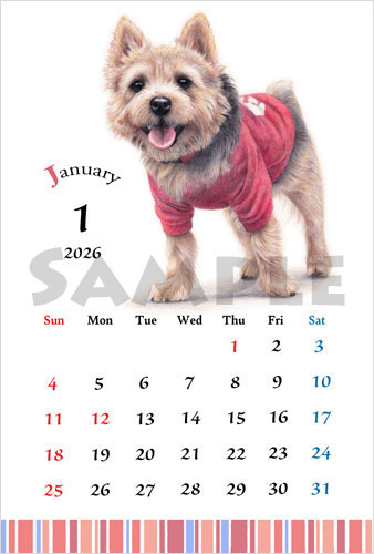 2026犬のイラスト卸売り卓上カレンダー