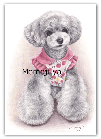 犬の肖像画・色鉛筆画 ｜ Momoji-ya 犬の肖像画制作・オリジナルグッズ