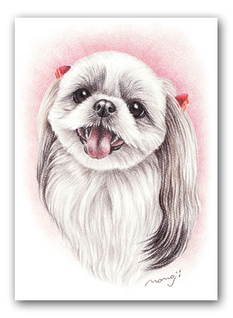 犬の肖像画 色鉛筆画 Momoji Ya 犬の肖像画制作 オリジナルグッズ販売 犬画教室
