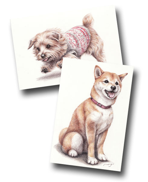 犬の肖像画・色鉛筆画 ｜ Momoji-ya 犬の肖像画制作・オリジナルグッズ 