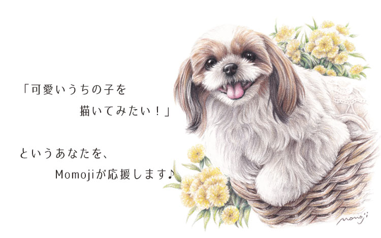 Momojiの犬画レッスン ｜ Momoji-ya 犬の肖像画制作・オリジナルグッズ